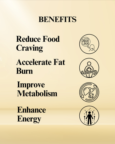 Vanaspati Care Fit Future – Ayurvedic Weight Loss Capsules